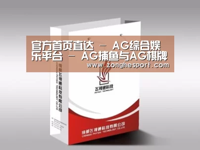 项目名称十三