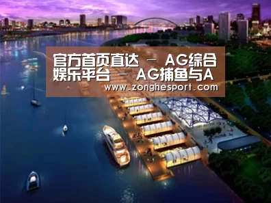 案例展示八