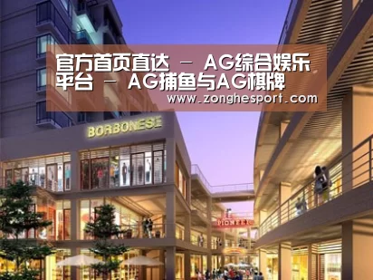 案例展示一
