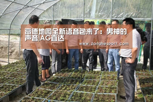 高德地图全新语音包来了:男神的声音|AG直达(图1) AG综合