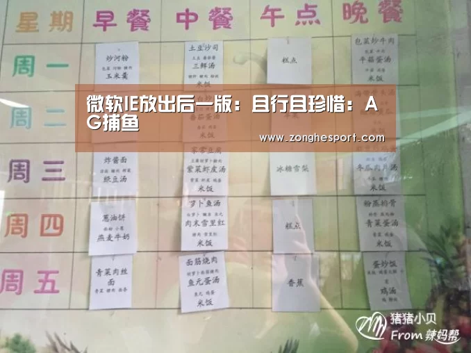 微软IE放出后一版:且行且珍惜:AG捕鱼(图2) AG棋牌