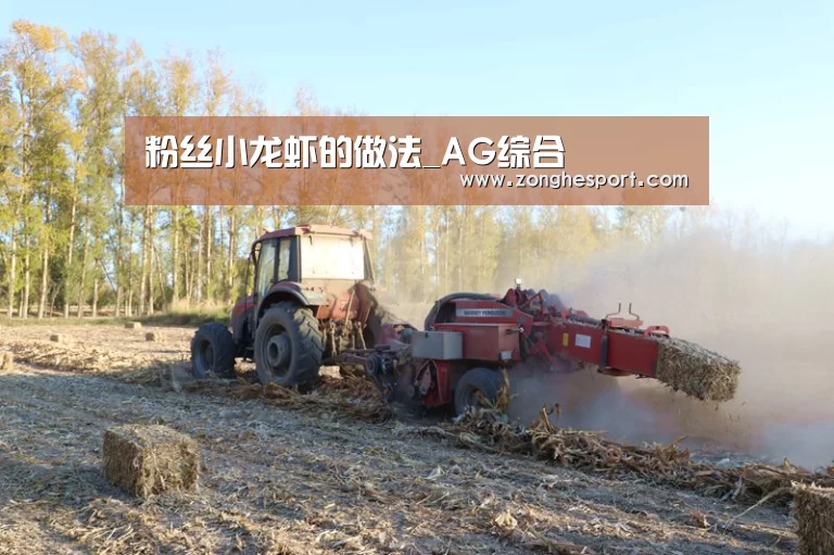 粉丝小龙虾的做法_AG综合(图4) AG棋牌