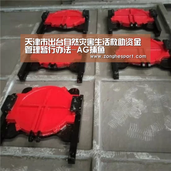 天津市出台自然灾害生活救助资金管理暂行办法-AG捕鱼(图3) AG棋牌