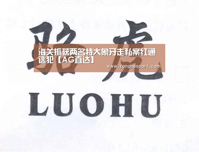 海关抓获两名特大象牙走私案红通逃犯【AG直达】(图1) AG捕鱼