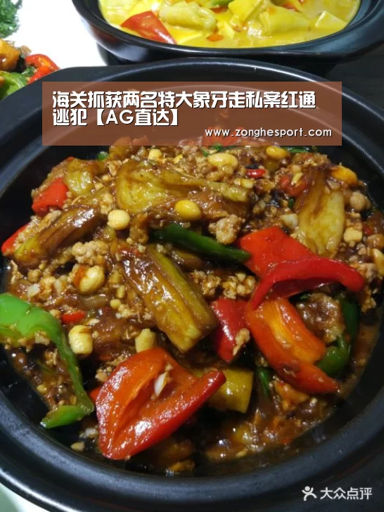 海关抓获两名特大象牙走私案红通逃犯【AG直达】(图2) AG捕鱼