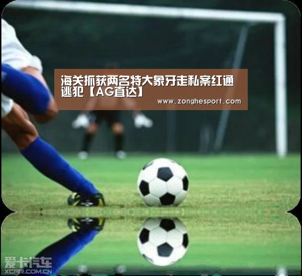 海关抓获两名特大象牙走私案红通逃犯【AG直达】(图3) AG综合