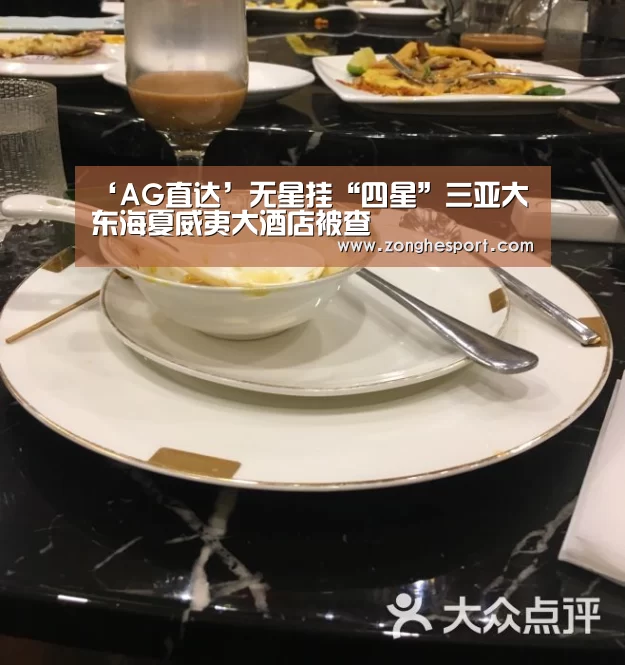 ‘AG直达’无星挂“四星”三亚大东海夏威夷大酒店被查(图3) AG棋牌