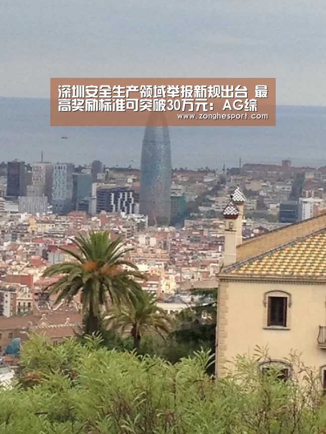 深圳安全生产领域举报新规出台 最高奖励标准可突破30万元:AG综合(图1) AG综合